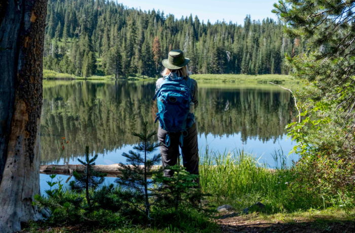 Guided segment hikes of the Tahoe Rim Trail