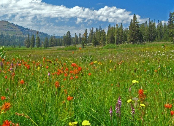 guided hike in lake tahoe