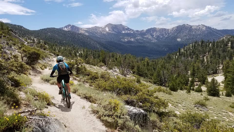 tahoe rim trail bikepacking