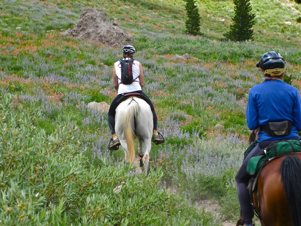 Equestrians on the Tahoe Rim Trail