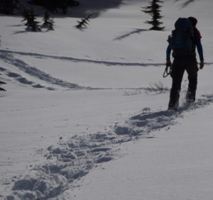 Guided Public Hikes on the Tahoe Rim Trail in Lake Tahoe