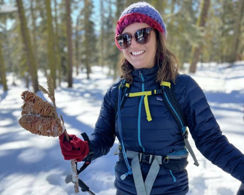 Guided Snowshoe Treks in Lake Tahoe on the Tahoe Rim Trail