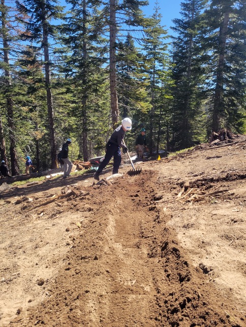 Volunteer of TRTA working on protecting Peregrine Falcon nesting habitat at Castle Rock near Lake Tahoe