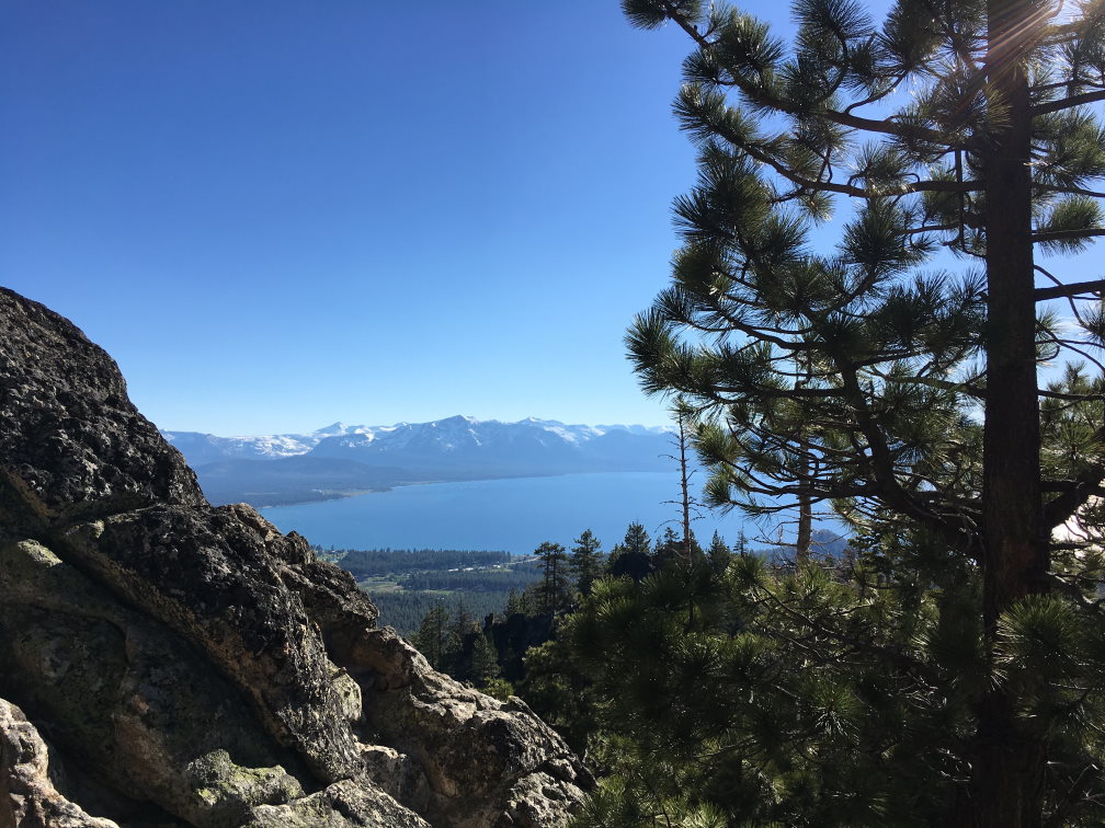 Guided Educational Day Hikes in Lake Tahoe with TINS