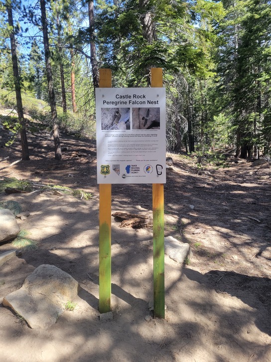 A new permanent sign is installed near Castle Rock along the Tahoe Rim Trail to educate hikers about the Peregrine Falcon and their nesting site habitat.