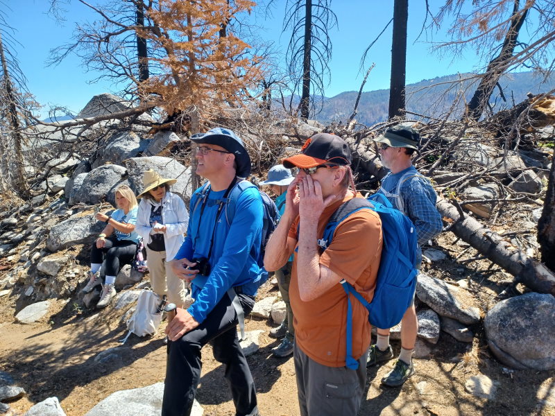 Educational Caldor Fire Guided Hike in Lake Tahoe