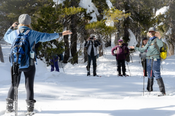 Guided Snowshoe Treks in Lake Tahoe on the Tahoe Rim Trail