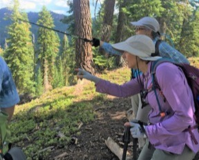 Hikers looking at nature on Tahoe Rim Trail with guided day hikes through Tahoe Rim Trail Association in Lake Tahoe