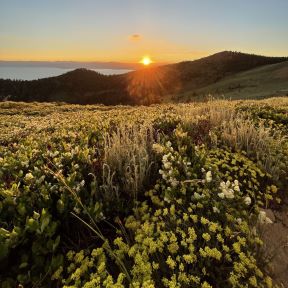 sunset view over Lake Tahoe on the Tahoe Rim Trail with the TRTA