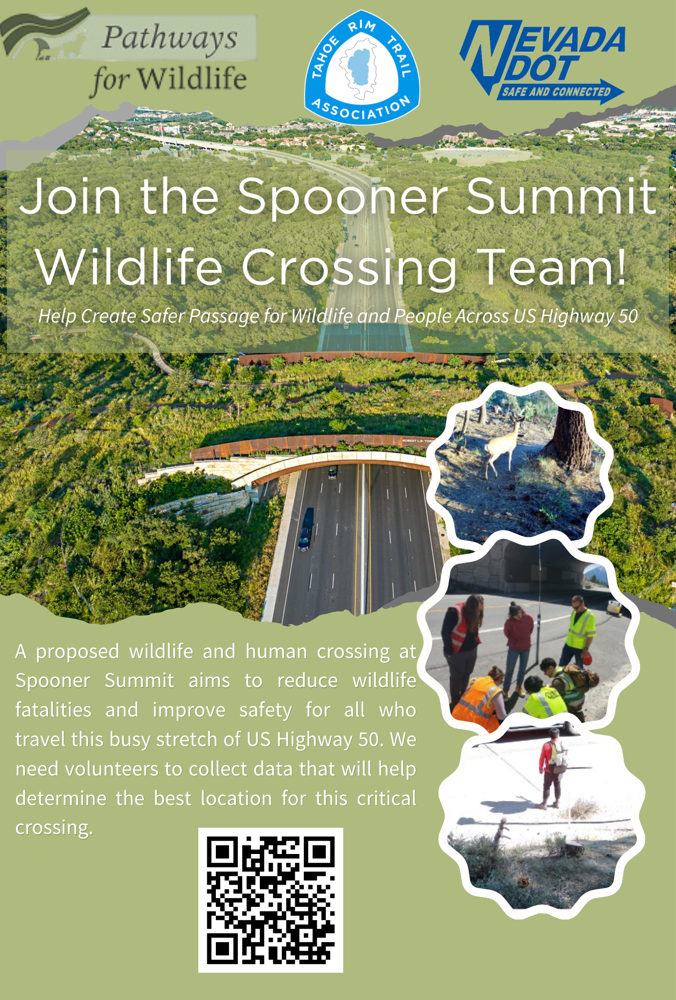 T provide QR code and project description to participants