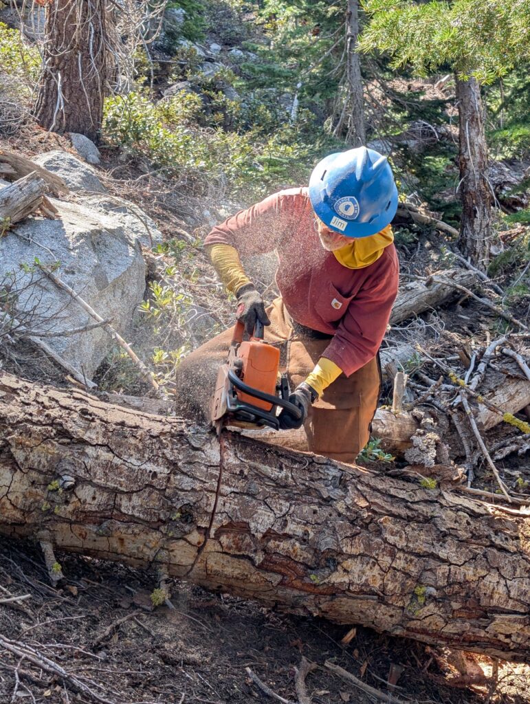 thumbnail_PXL_20250605_174717237