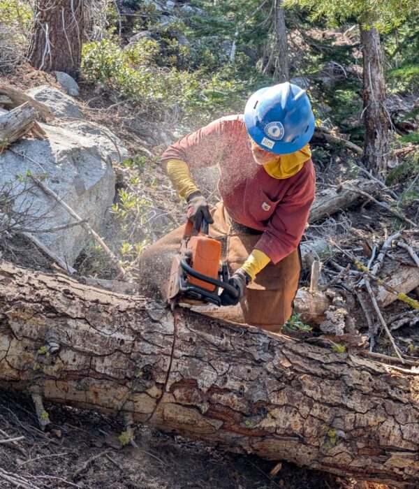 thumbnail_PXL_20250605_174717237 thumbnail_PXL_20250605_174717237