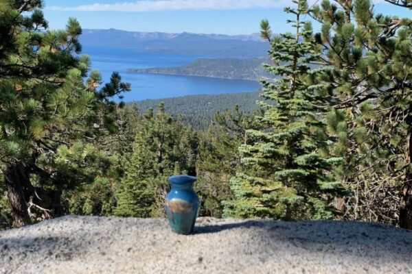 Honu's Urn Honu's Urn