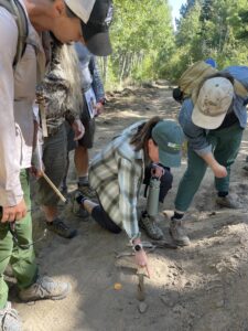 women bending over pointing at animal track in dirt, teaching participants of Tahoe rim trail association how to track wildlife to help decide where the highway crossing should go based on the animal crossing data. Citizen Science