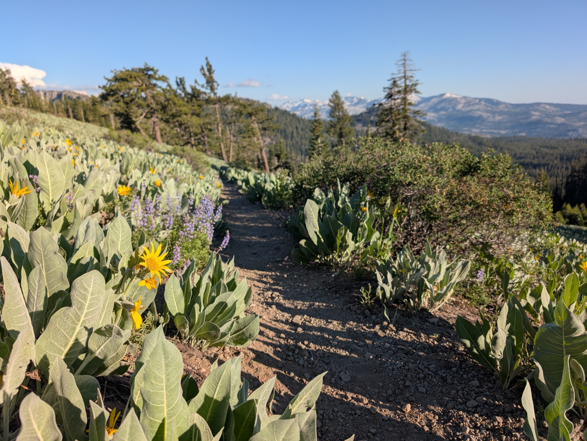 Barker Pass North 6.13