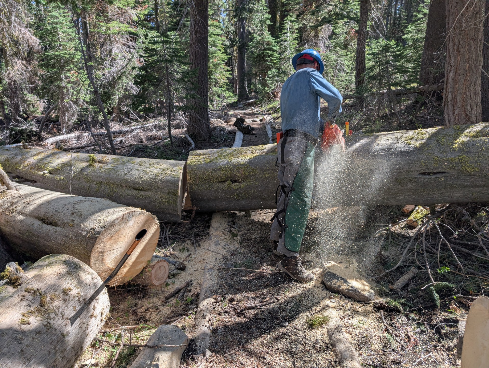 Volunteer crewleader Mark Wynne-Willson uses a chainsaw to remove a fallen tree from the trail near Twin Peaks.